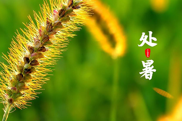 Ag���޼���(�й���)�ٷ���վ